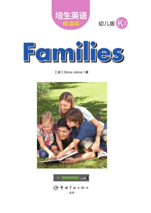 K3.3-Families