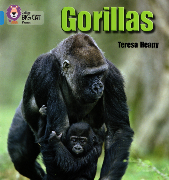 gorillas